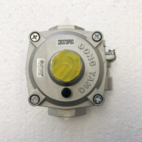 WB19T10074 General Electric Pressure Regulator